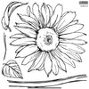 IOD Sunflower Decor Stamp