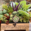 The Phoebe Succulent Herb Garden Centerpiece For Kitchen Table
