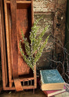 Artificial Monterrey Cypress Pine Spray