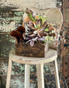 The Suri Succulent & Mixed Greenery Centerpiece For Table