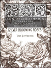 IOD Mays Roses Rub On Transfer Sheet