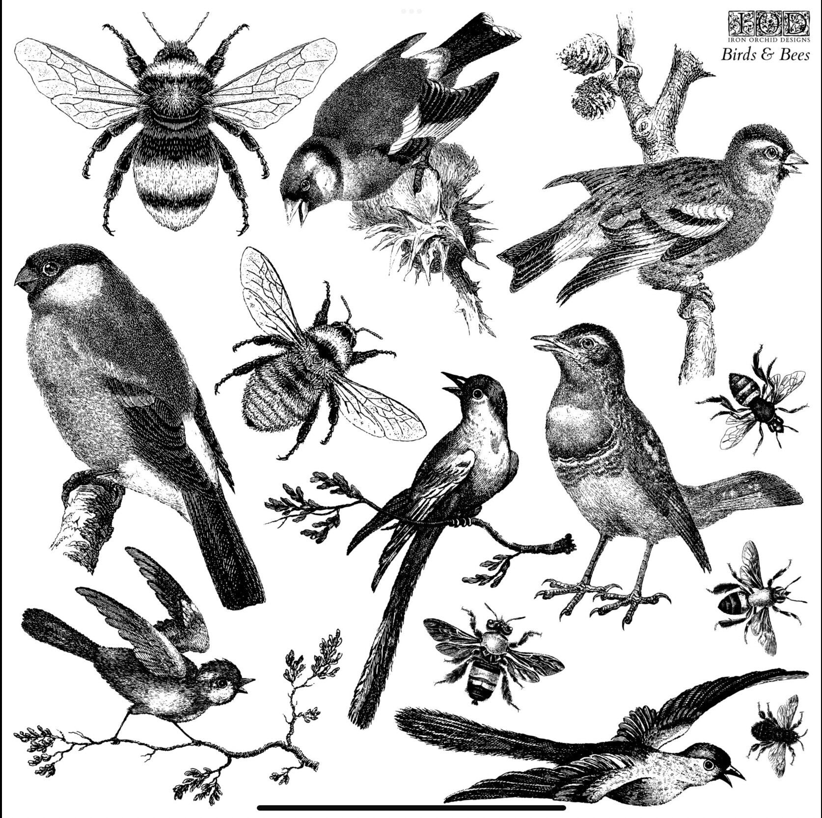 IOD Birds and Bees Decor Stamp