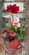 The Evette Red Amaryllis & Pine Christmas Centerpiece For Dining Table